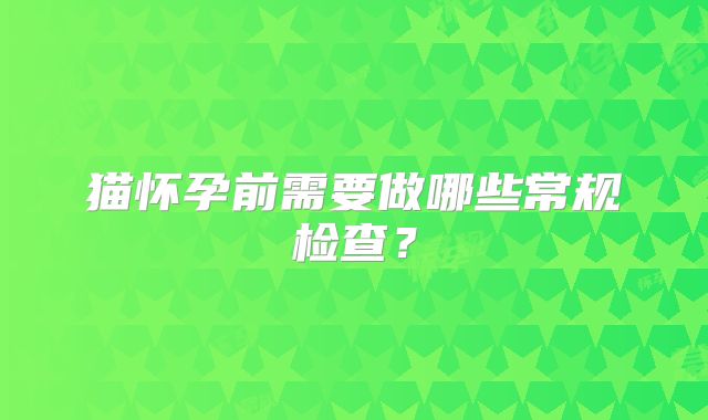 猫怀孕前需要做哪些常规检查？