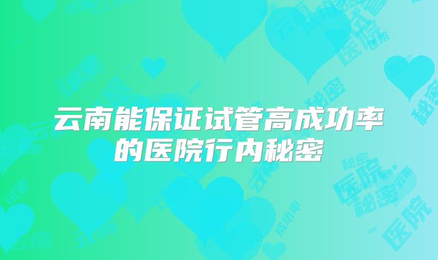 云南能保证试管高成功率的医院行内秘密