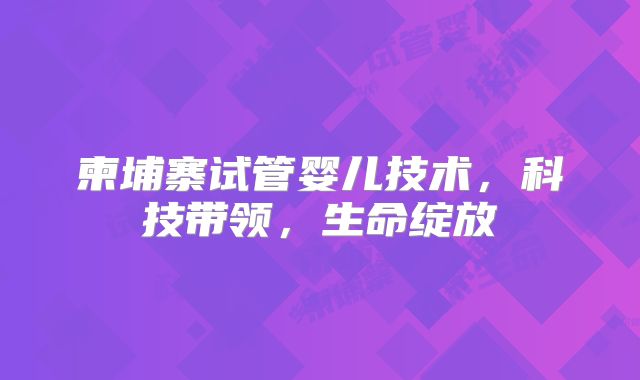 柬埔寨试管婴儿技术，科技带领，生命绽放
