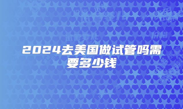 2024去美国做试管吗需要多少钱