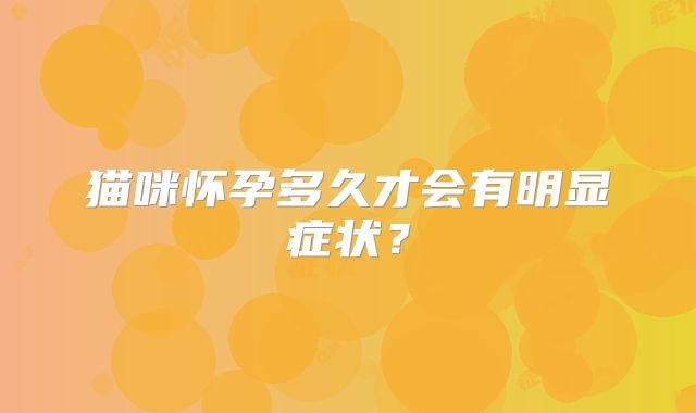 猫咪怀孕多久才会有明显症状?