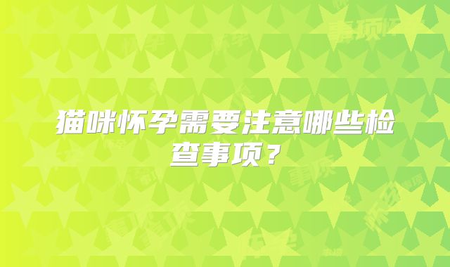 猫咪怀孕需要注意哪些检查事项？