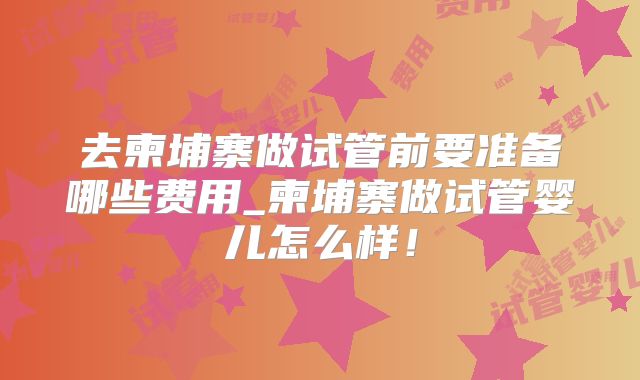去柬埔寨做试管前要准备哪些费用_柬埔寨做试管婴儿怎么样！
