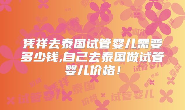 凭祥去泰国试管婴儿需要多少钱,自己去泰国做试管婴儿价格！