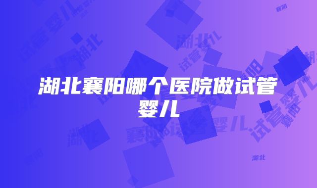 湖北襄阳哪个医院做试管婴儿