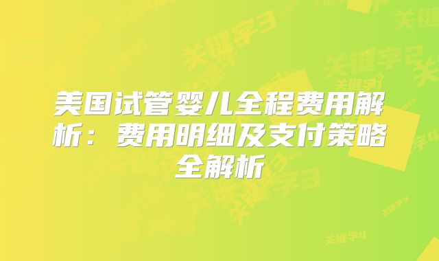 美国试管婴儿全程费用解析：费用明细及支付策略全解析