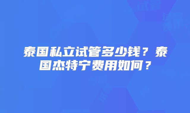 泰国私立试管多少钱？泰国杰特宁费用如何？