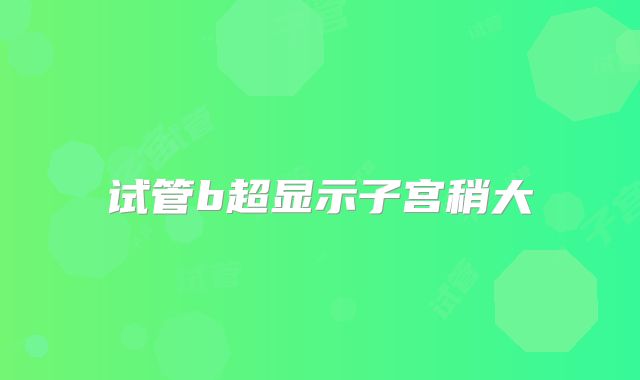 试管b超显示子宫稍大