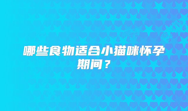 哪些食物适合小猫咪怀孕期间？