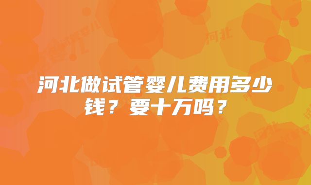 河北做试管婴儿费用多少钱?要十万吗?
