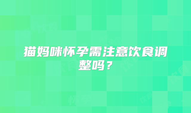 猫妈咪怀孕需注意饮食调整吗？