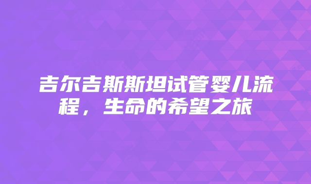 吉尔吉斯斯坦试管婴儿流程，生命的希望之旅