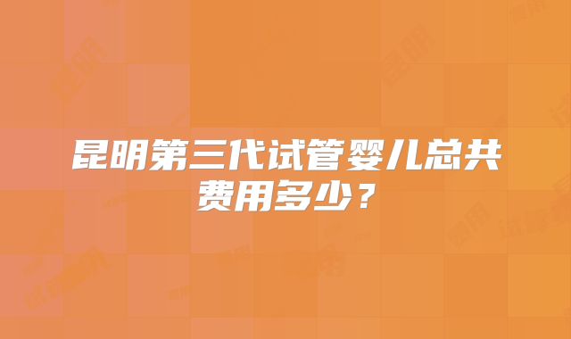 昆明第三代试管婴儿总共费用多少？