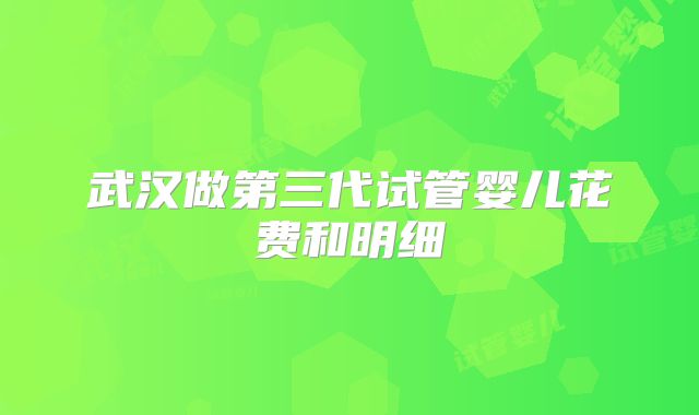 武汉做第三代试管婴儿花费和明细
