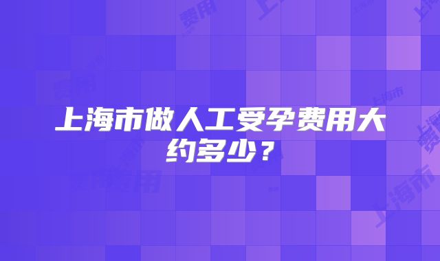 上海市做人工受孕费用大约多少？