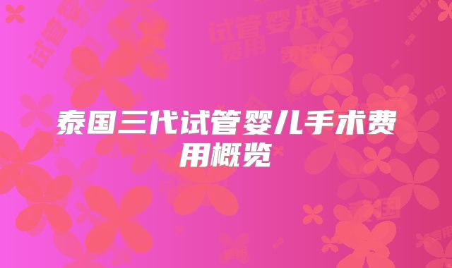 泰国三代试管婴儿手术费用概览