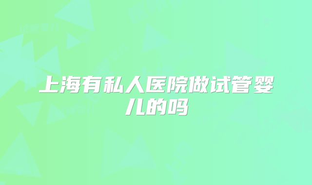 上海有私人医院做试管婴儿的吗