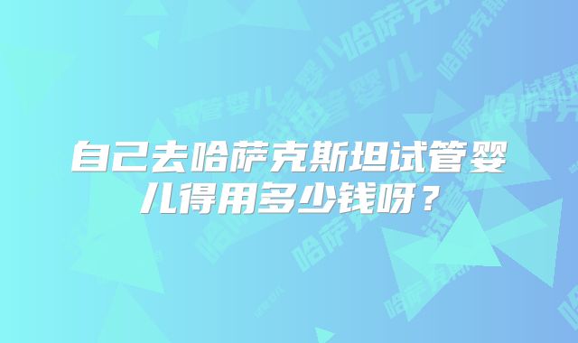 自己去哈萨克斯坦试管婴儿得用多少钱呀?