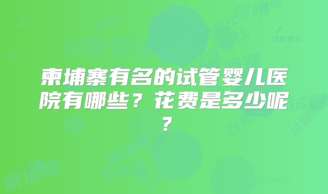 柬埔寨有名的试管婴儿医院有哪些？花费是多少呢？