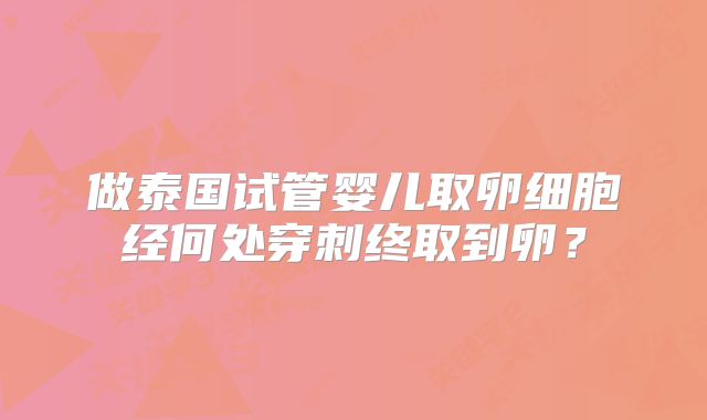 做泰国试管婴儿取卵细胞经何处穿刺终取到卵？