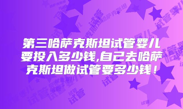 第三哈萨克斯坦试管婴儿要投入多少钱,自己去哈萨克斯坦做试管要多少钱！