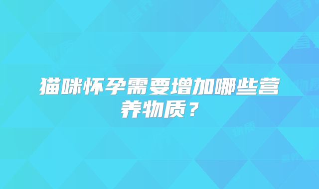 猫咪怀孕需要增加哪些营养物质？