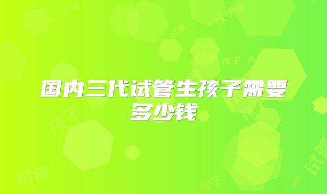 国内三代试管生孩子需要多少钱