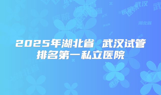2025年湖北省 武汉试管排名第一私立医院