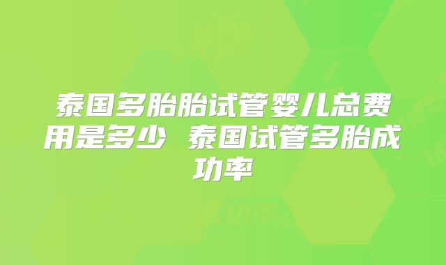 泰国多胎胎试管婴儿总费用是多少 泰国试管多胎成功率