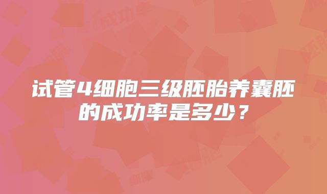 试管4细胞三级胚胎养囊胚的成功率是多少？
