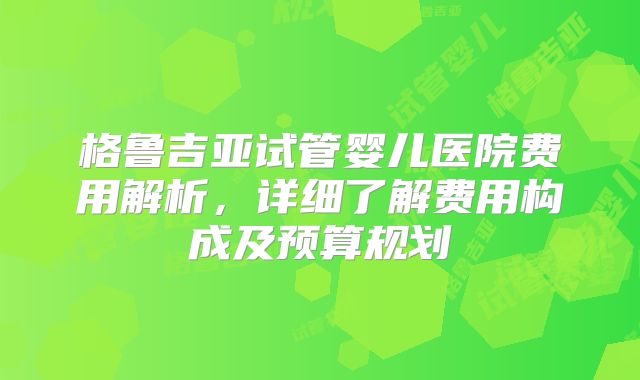 格鲁吉亚试管婴儿医院费用解析，详细了解费用构成及预算规划