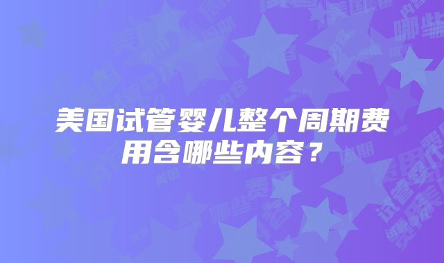 美国试管婴儿整个周期费用含哪些内容？