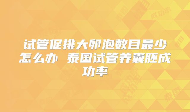试管促排大卵泡数目最少怎么办 泰国试管养囊胚成功率