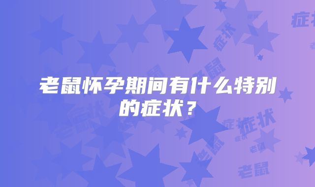 老鼠怀孕期间有什么特别的症状?
