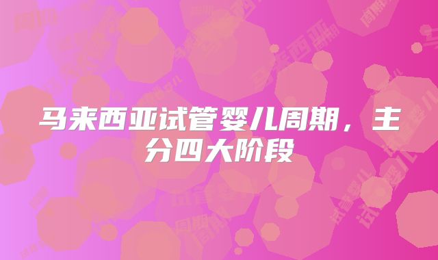 马来西亚试管婴儿周期,主分四大阶段