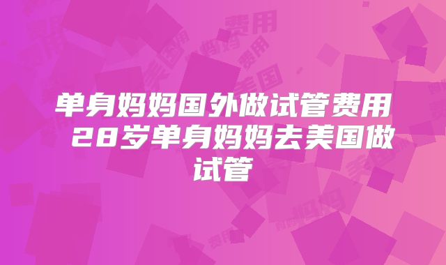 单身妈妈国外做试管费用 28岁单身妈妈去美国做试管
