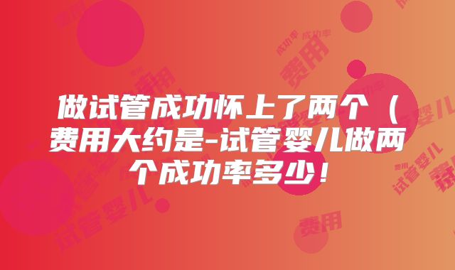 做试管成功怀上了两个（费用大约是-试管婴儿做两个成功率多少！