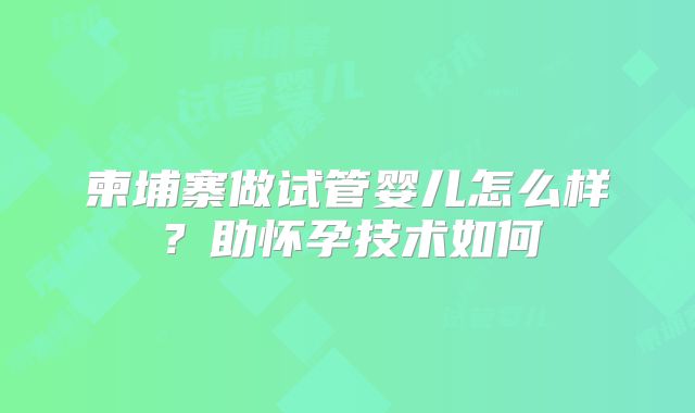 柬埔寨做试管婴儿怎么样?助怀孕技术如何