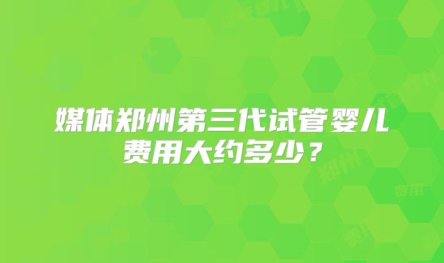 媒体郑州第三代试管婴儿费用大约多少？