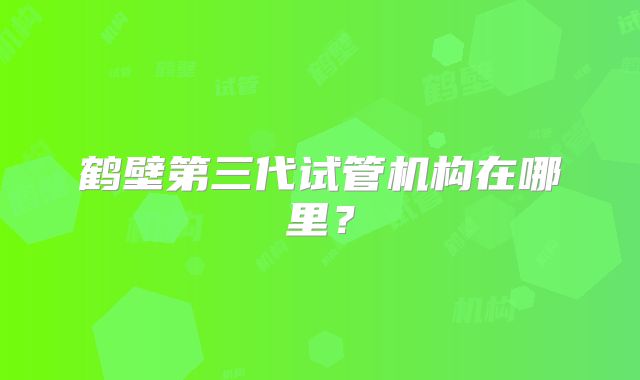 鹤壁第三代试管机构在哪里？