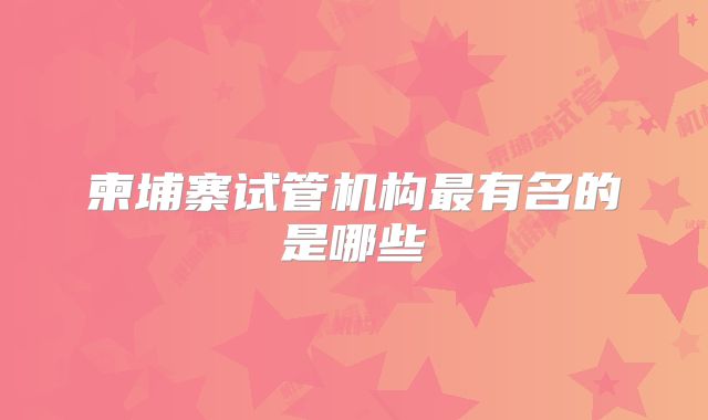 柬埔寨试管机构最有名的是哪些