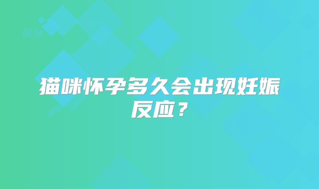 猫咪怀孕多久会出现妊娠反应？