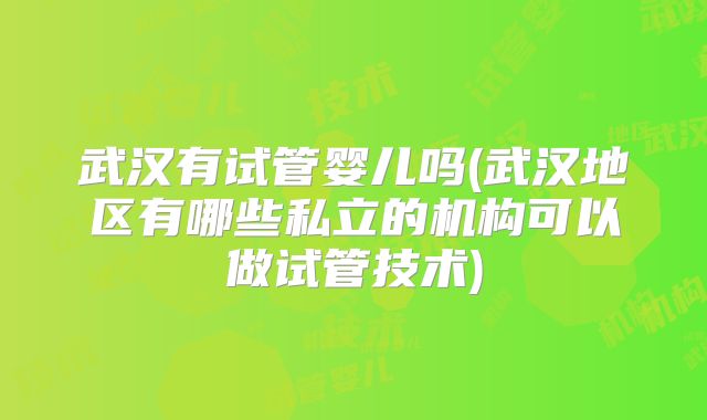 武汉有试管婴儿吗(武汉地区有哪些私立的机构可以做试管技术)