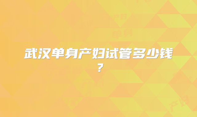 武汉单身产妇试管多少钱？