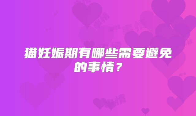猫妊娠期有哪些需要避免的事情？