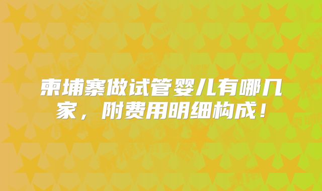 柬埔寨做试管婴儿有哪几家，附费用明细构成！