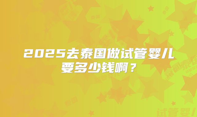 2025去泰国做试管婴儿要多少钱啊?