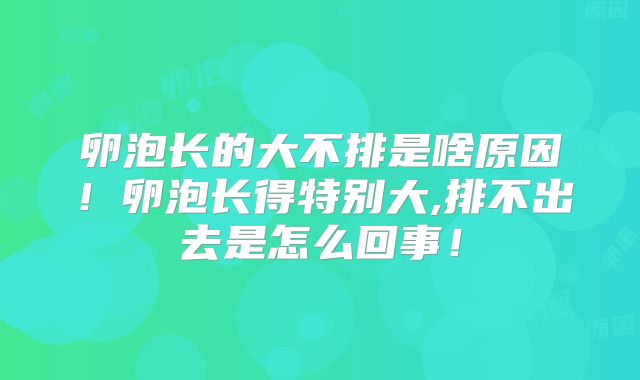 卵泡长的大不排是啥原因！卵泡长得特别大,排不出去是怎么回事！