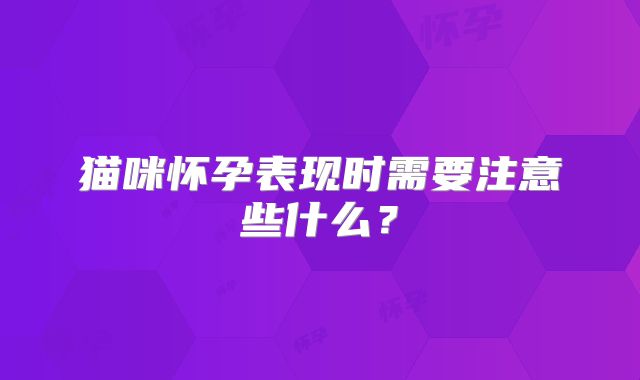 猫咪怀孕表现时需要注意些什么？