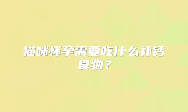 猫咪怀孕需要吃什么补钙食物？
